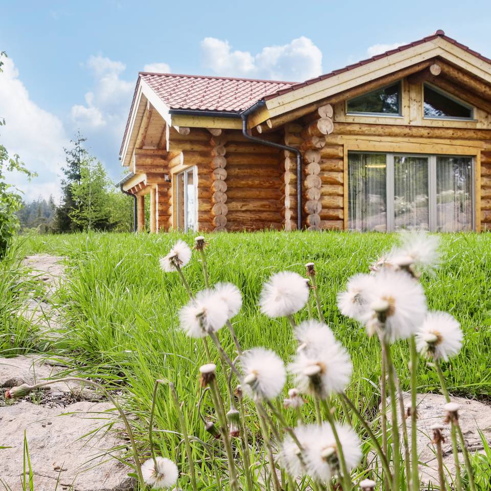 Chalets: Luxus & Privatsphäre für Paare und Ruhesuchende - Franz Josef's Landresort Webseite